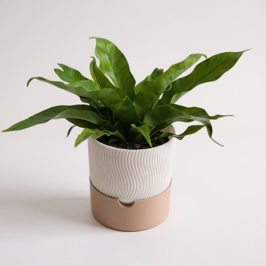 Modern Ribbed Self-Watering Planter