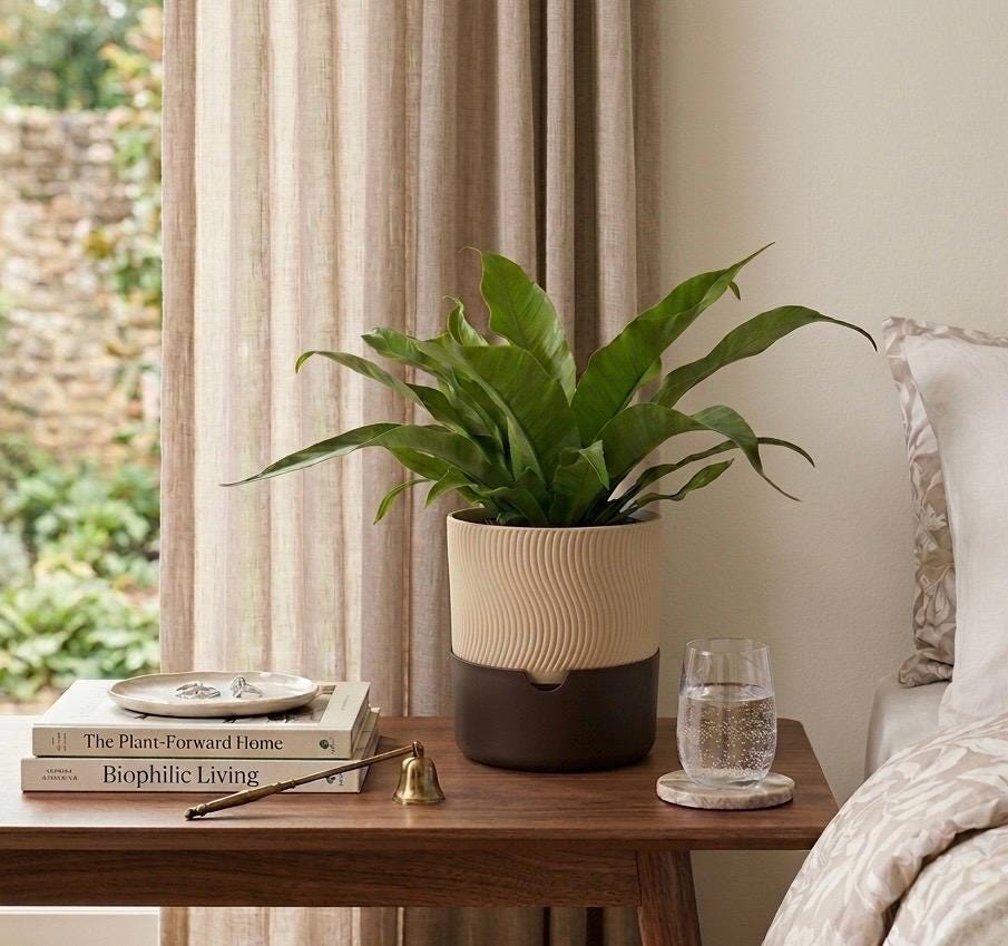 Modern Ribbed Self-Watering Planter