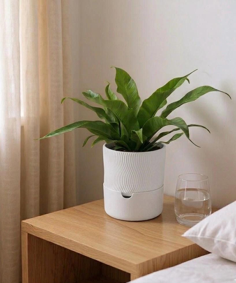 Modern Ribbed Self-Watering Planter