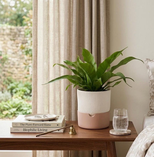 Modern Ribbed Self-Watering Planter